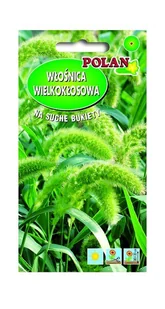 Włośnica wielokłosowa - trawy ozdobne 2 g Polan - Nasiona i cebule - miniaturka - grafika 1