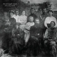 Pop - Pineapple Thief: Abducted At Birth (CD) - miniaturka - grafika 1