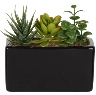 Sztuczne kwiaty w ceramicznej doniczce SUKULENTY, 15 x 8 x 14 cm - Sztuczne kwiaty - miniaturka - grafika 1