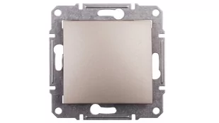 Berker schodowy, Schneider Electric SEDNA SDN0400168, bez ramki, kolor satyna - Gniazdka elektryczne - miniaturka - grafika 1