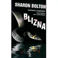 Powieści - Amber Blizna Sharon Bolton - miniaturka - grafika 1