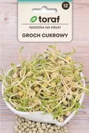 Nasiona i cebule - Groch cukrowy typ Affyla na kiełki nasiona 50g Toraf - miniaturka - grafika 1