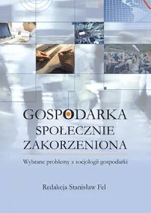 Gospodarka społecznie zakorzeniona Używana - Biznes - miniaturka - grafika 2