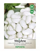 Nasiona i cebule - WegAna Fasola wielokwiatowa Riposta - miniaturka - grafika 1