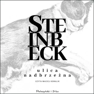 Ulica Nadbrzeżna - Audiobooki - literatura piękna - miniaturka - grafika 1