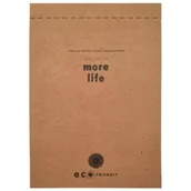 Notesy i bloczki - Notatnik A5/100K kratka Flexi Eco-Clas (10szt) - Ziemia Obiecana - miniaturka - grafika 1