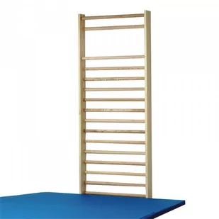 Sportlanger Drabinka z owalnymi szczeblami 230 x 100 cm 110006 - Wyposażenie sportowe i gimnastyczne - miniaturka - grafika 1