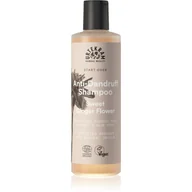 Szampony do włosów - Urtekram - Szampon, Delikatny imbir przeciwłupieżowy, BIO, 250 ml - miniaturka - grafika 1