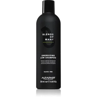Alfaparf Blends Of Many energetyzujący szampon do włosów dla mężczyzn 250ml 2493 - Szampony dla mężczyzn - miniaturka - grafika 1