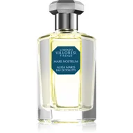 Dezodoranty i antyperspiranty męskie - Lorenzo Villoresi Mare Nostrum Aura Maris 100 ml woda toaletowa - miniaturka - grafika 1