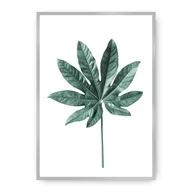 Plakaty - Dekoria Dekoria Plakat Leaf Emerald Green 50 x 70 cm Ramka Srebrna 222G-000-01 - miniaturka - grafika 1