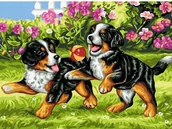 Malowanie po numerach - Malowanie po numerach Zabawa szczeniaków - miniaturka - grafika 1