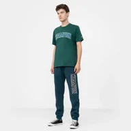 Spodnie sportowe męskie - Męskie spodnie dresowe CHAMPION ROCHESTER Rib Cuff Pants - miniaturka - grafika 1
