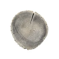 Kostki brukowe i krawężniki - Płyta dekoracyjna Pień 38-45 cm biały - miniaturka - grafika 1