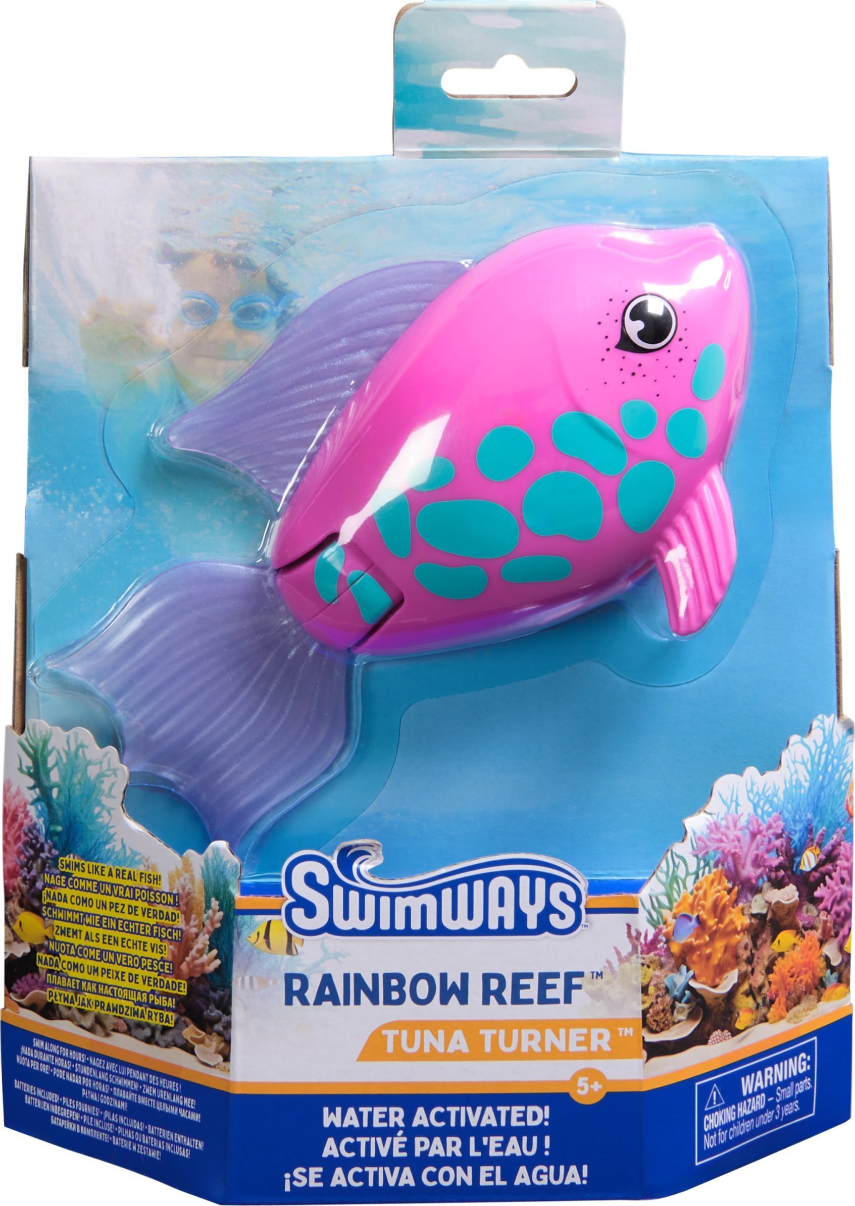 Rainbow Reef Fish - Rainbow Fish
