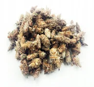 Przyprawy i zioła sypkie - SOSNA PĄCZKI SOSNY CAŁE 1 KG 100% NATURALNY SKLEP - miniaturka - grafika 1