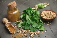 Nasiona i cebule - KOLENDRA SIEWNA aromatyczna przyprawa NASIONA ZIÓŁ zioła p. 67118CIN0DX - miniaturka - grafika 1