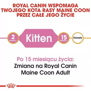 ROYAL CANIN Maine Coon Kitten 4kg karma sucha dla kociąt, do 15 miesiąca, rasy maine coon  + niespodzianka dla kota GRATIS! - Sucha karma dla kotów - miniaturka - grafika 4