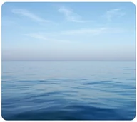 Podkładki pod mysz - PODKŁADKA POD MYSZ FELLOWES OCEAN - miniaturka - grafika 1