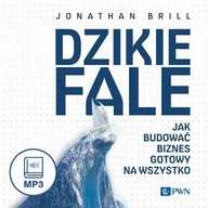 Audiobooki - biznes i ekonomia - Dzikie fale. Jak budować biznes gotowy na wszystko - miniaturka - grafika 1