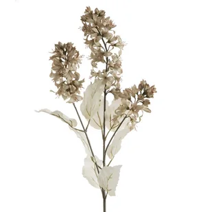 Eurofirany, Kwiat dekoracyjny, KW/NATU/451/BEŻO BEŻO+B - Sztuczne kwiaty - miniaturka - grafika 1