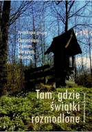 Religia i religioznawstwo - Tam gdzie świątki rozmodlone - miniaturka - grafika 1