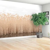 Fototapety - Fototapeta Trzcina Staw - miniaturka - grafika 1