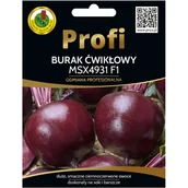 Nasiona i cebule - Burak MsX4931 nasiona 240szt. Pnos - miniaturka - grafika 1