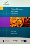 Zarządzanie - Polityki klastrowe w Europie - miniaturka - grafika 1
