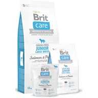 Sucha karma dla psów - Brit Care Grain-Free Junior Large Breed Salmon&Potato 12 kg - miniaturka - grafika 1