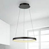 Lampy sufitowe - Paul Neuhaus Lampa wisząca LED Hoop, czarna, Ø 57 cm, ściemniana - miniaturka - grafika 1