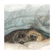 Magnesy - Magnes FM210 Noski psów - Alex Clark - miniaturka - grafika 1