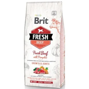 Brit Fresh Beef with Pumpkin Puppy Large 2,5 kg - Sucha karma dla psów - miniaturka - grafika 1