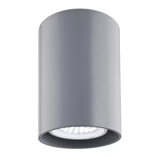 Argon Plafon Oprawa sufitowa TYBER2 LED 3120 1pł Szary - Lampy sufitowe - miniaturka - grafika 1