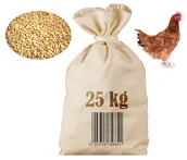 Ziarna i nasiona roślin strączkowych - Pszenżyto paszowe 25kg - Agro Bracia - miniaturka - grafika 1