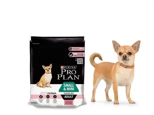 Purina Pro Plan Small&Mini Adult Sensitive Skin Optiderma 0,7 kg - Sucha karma dla psów - miniaturka - grafika 1