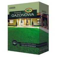 Trawy i trawniki - Mieszanka Traw Gazonowa 0,5 kg kartonik - miniaturka - grafika 1