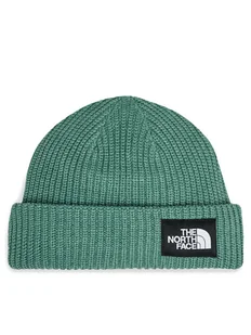 The North Face Czapka Salty Lined BeanieNF0A3FJWI0F1 Zielony - Czapki męskie - miniaturka - grafika 1