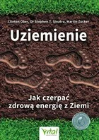 Uziemienie Jak czerpać zdrową energię z ziem - Poradniki hobbystyczne - miniaturka - grafika 1