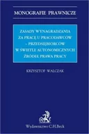 Prawo - Walczak Krzysztof Zasady wynagradzania za pracę u pracodawców-przedsiębiorców w świetle autonomicznych źródeł prawa - miniaturka - grafika 1