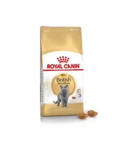 ROYAL CANIN British Shorthair Adult 34 4kg + saszetka British Adult 12x85g (Sos) - Sucha karma dla kotów - miniaturka - grafika 3