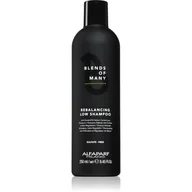 Szampony dla mężczyzn - Alfaparf Blends Of Many równoważący szampon do włosów dla mężczyzn 250ml 2494 - miniaturka - grafika 1