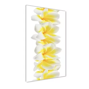 Foto-obraz szkło hartowane pionowy Plumeria - Foto gadżety - miniaturka - grafika 1