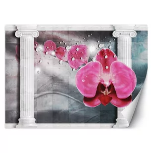 Fototapeta, Różowy kwiat storczyk (Rozmiar 400x280) - Fototapety - miniaturka - grafika 1