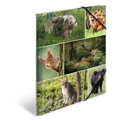 Teczki i skoroszyty - Teczka A4 z gumkami, Leśne zwierzęta - miniaturka - grafika 1