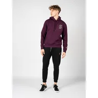 Bluzy sportowe męskie - Bluza trekking męska Hoodie - miniaturka - grafika 1