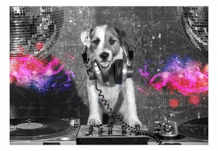 Fototapeta - Pies DJ (rozmiar 100x70) - Fototapety - miniaturka - grafika 1