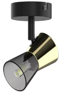 Lampa reflektor spot CENTO CK220532-1BG Zuma Line - Lampy sufitowe - miniaturka - grafika 2