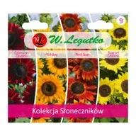 Nasiona i cebule - Legutko Słoneczniki kolekcja nasion tradycyjnych - miniaturka - grafika 1