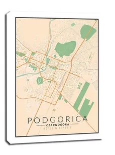 Podgorica mapa kolorowa - obraz na płótnie Wymiar do wyboru: 60x80 cm - Obrazy i zdjęcia na płótnie - miniaturka - grafika 1